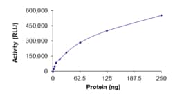 Sino Biological&nbsp;Recombinant Human RHOD Protein (Mature form, His Tag), Active